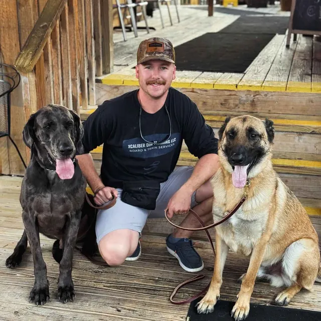 Two retrievers holding a sit-stay during a training session