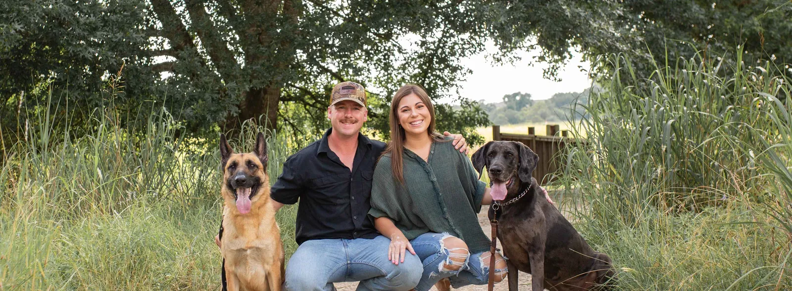 Four trained dogs holding a group stay at Xcaliber Dog Training